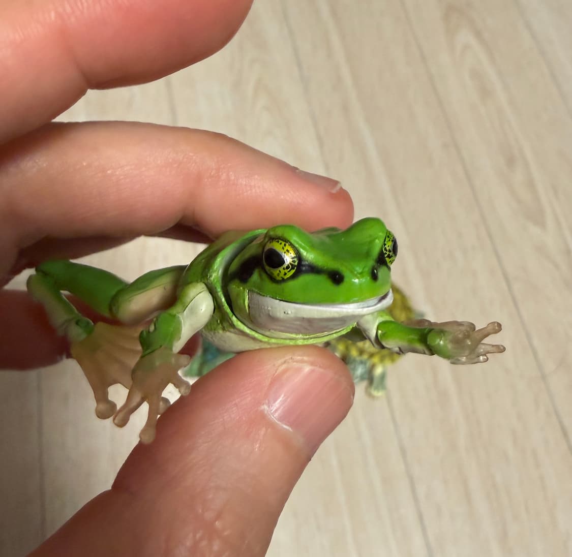 반다이 생물대도감 어드밴스 청개구리01 녹색 상품이미지4