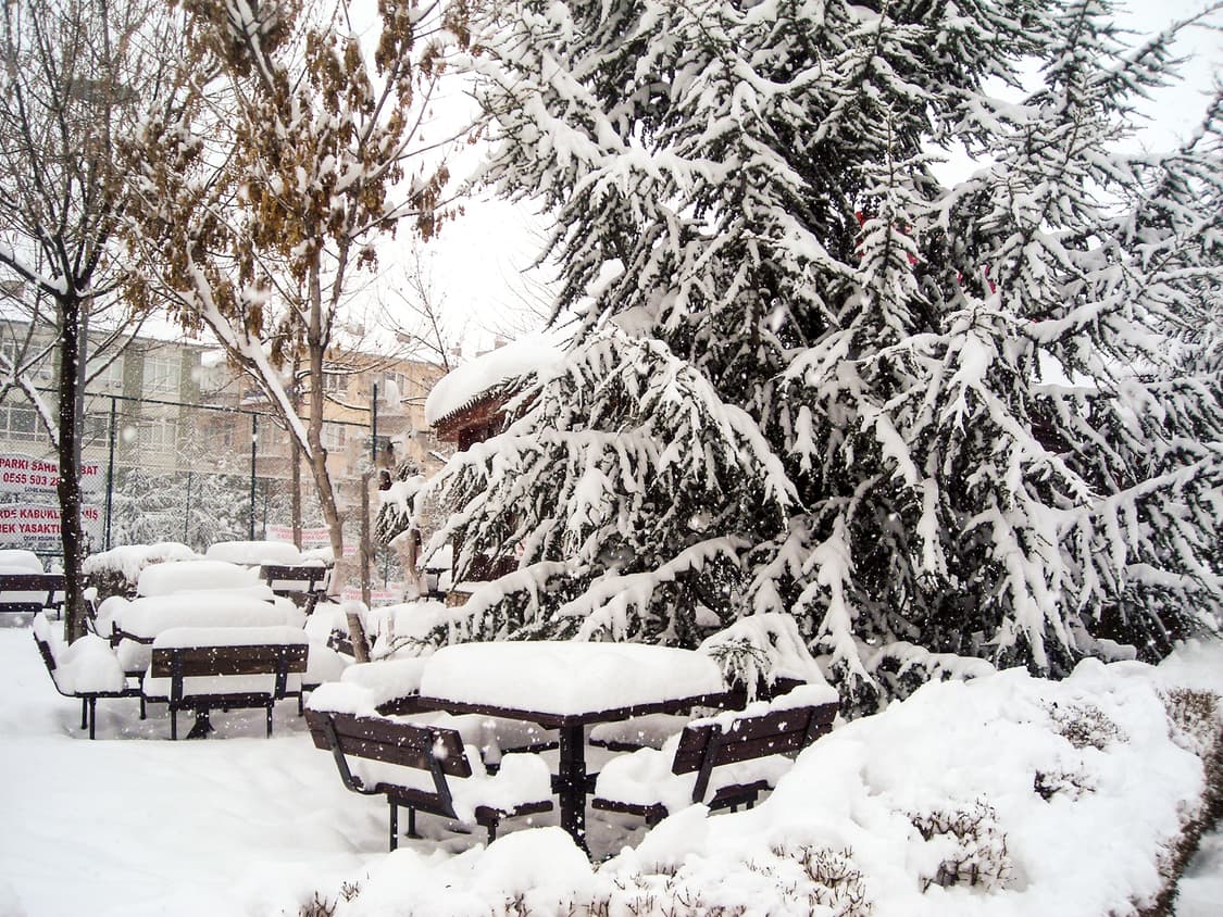 작례O 필름 감성 니콘 쿨픽스 l2 초소형 디카 디지털카메라 빈티지 상품이미지3