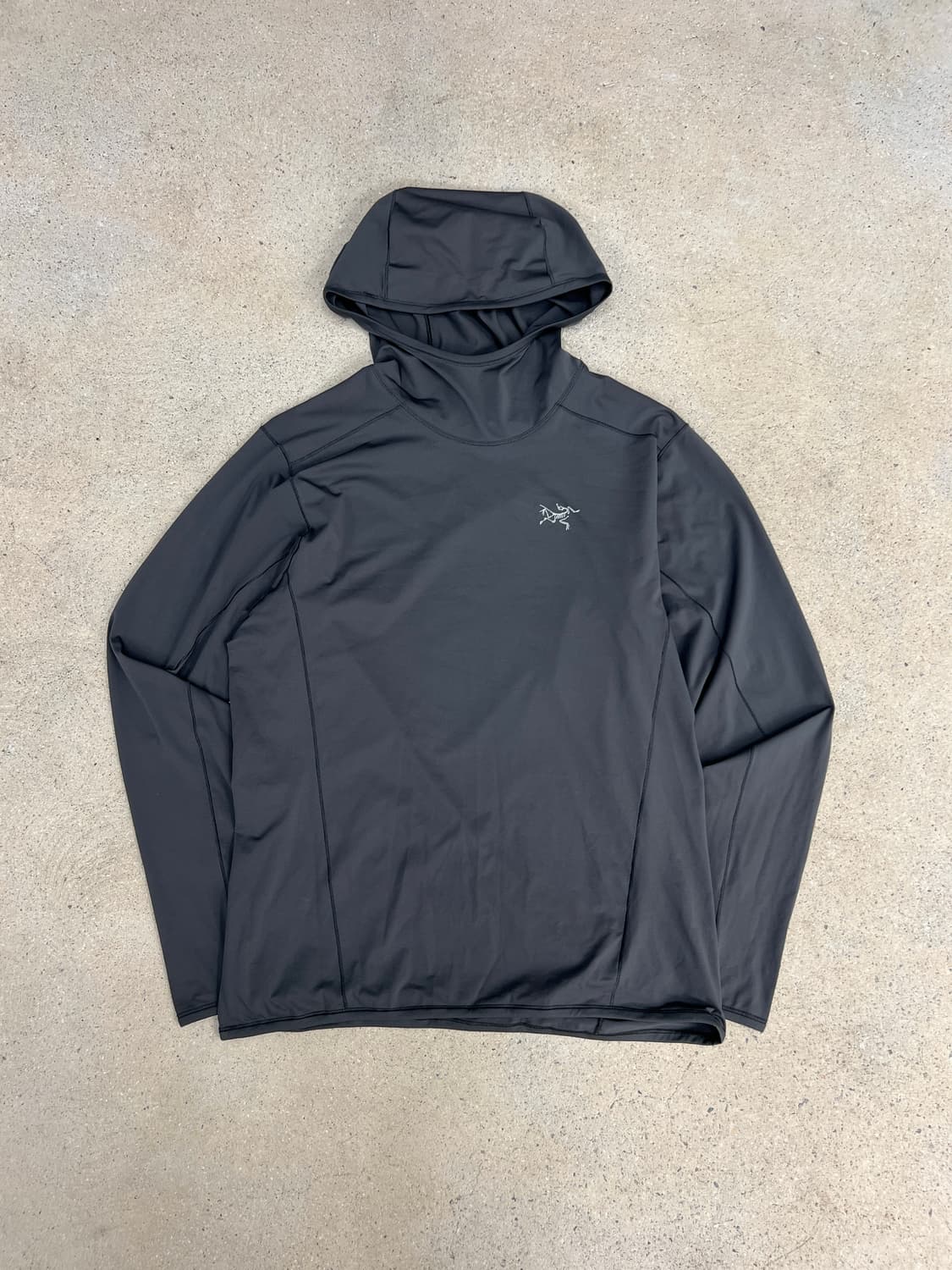 아크테릭스 페이직 선 후디 상품이미지1