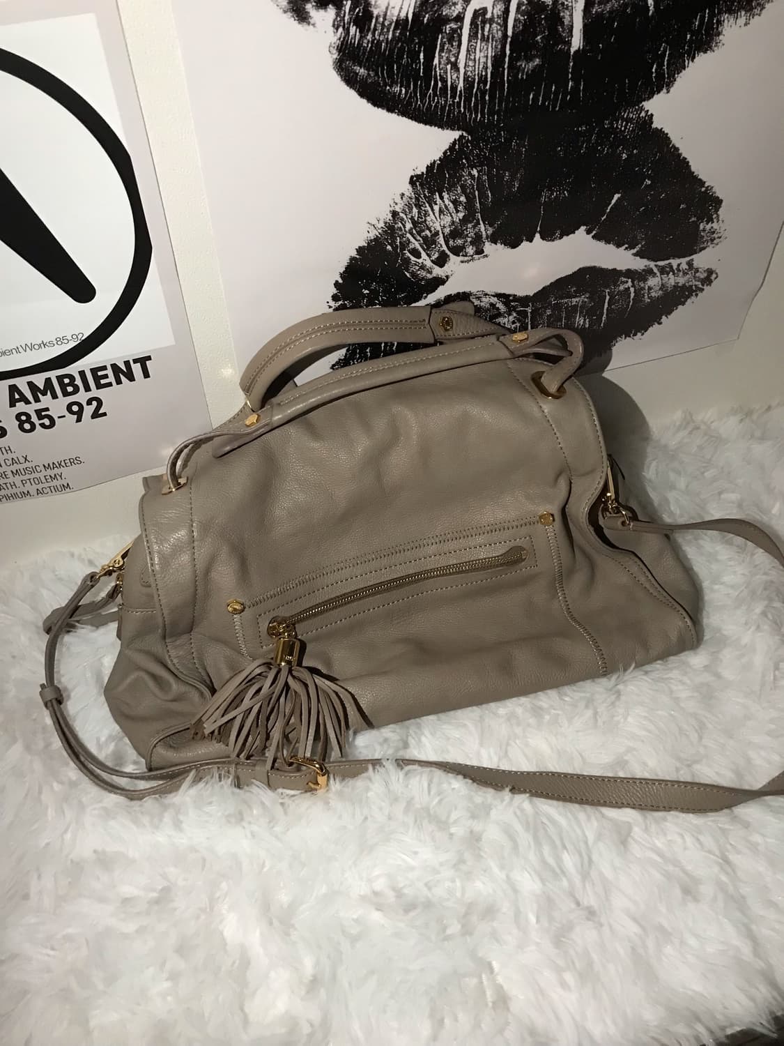 anna sui  beige bag 상품이미지2