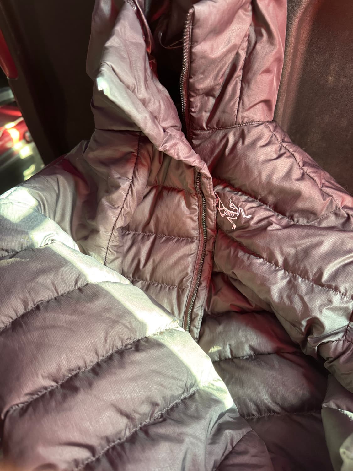 아크테릭스 세륨 후디 블랙 상품이미지2