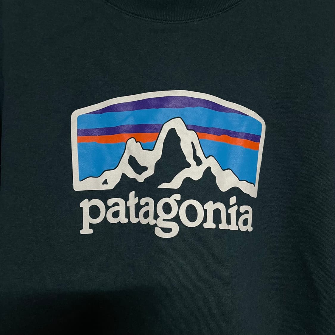 파타고니아 맨투맨 M 상품이미지4