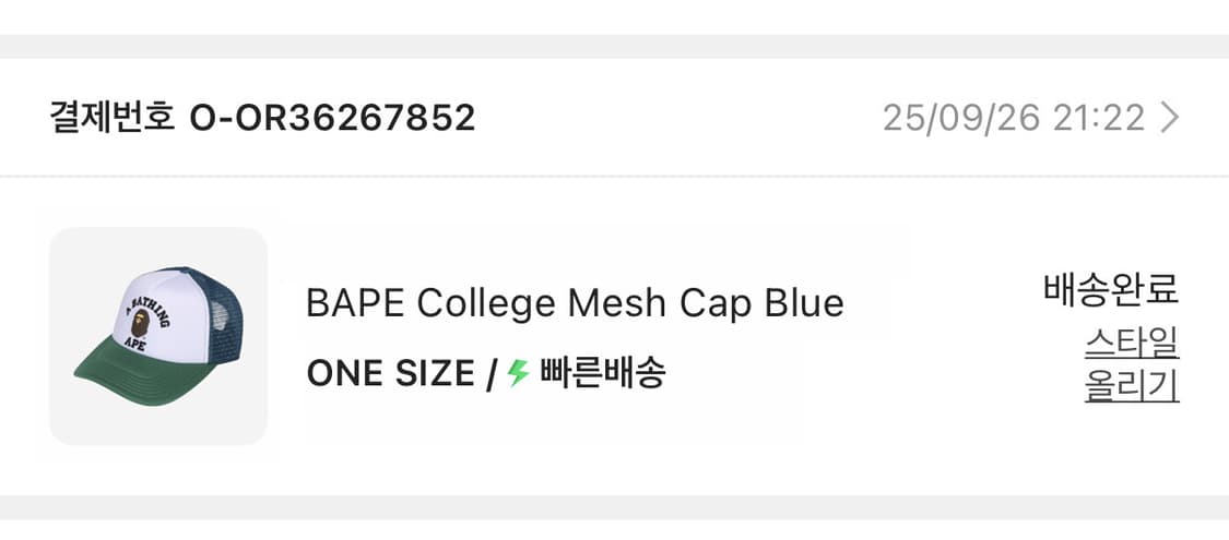 베이프 컬리지 메쉬 캡 블루 상품이미지8