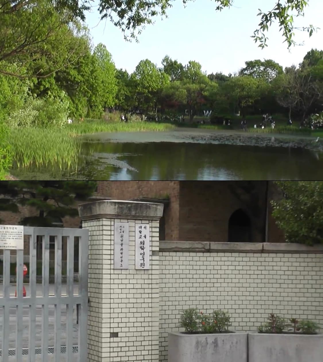 파나소닉 HDC-TM60 캠코더 박스품 Panasonic 상품이미지10