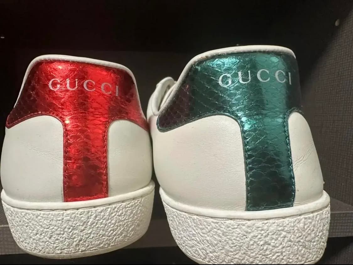 구찌 타이거 스니커즈 상품이미지2