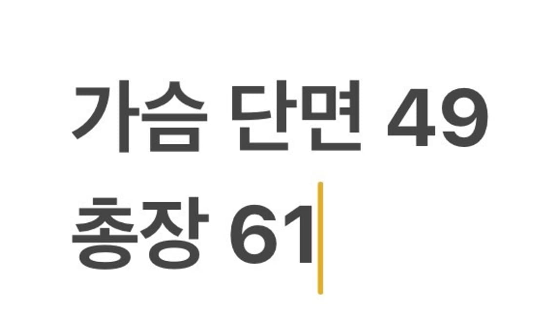 [정품/S] 파타고니아 다운 패딩 조끼 블루 b10 상품이미지7