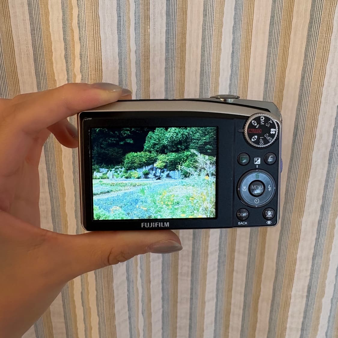 작례O)후지필름 파인픽스 F50fd fujifilm finepix f50 상품이미지5