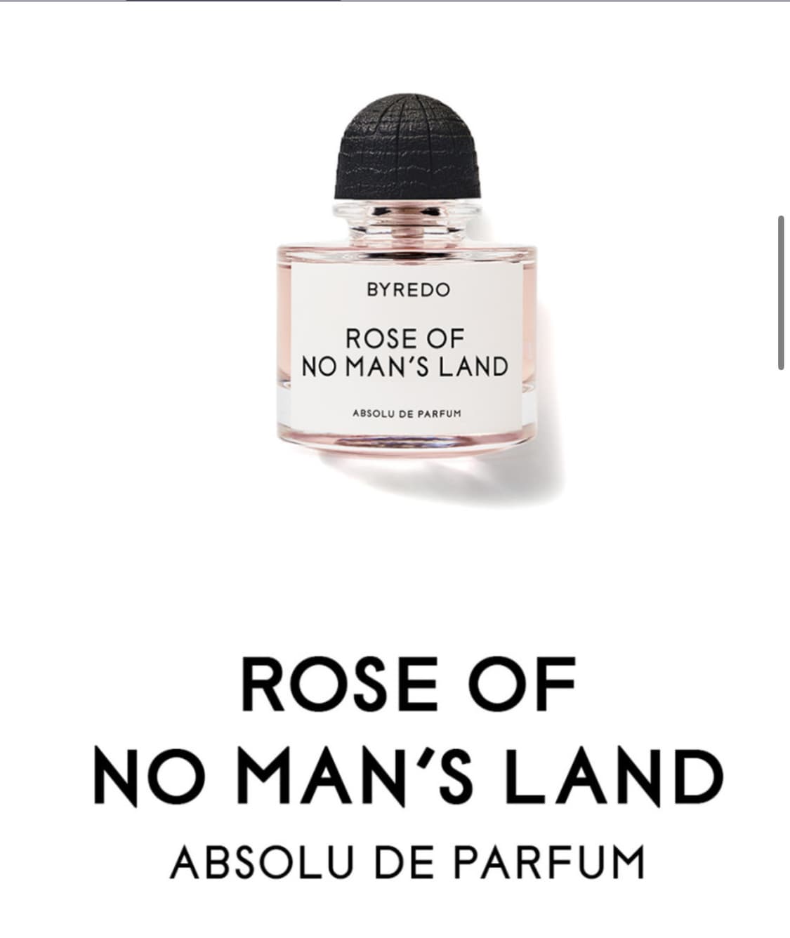 바이레도 로즈오브노맨즈랜드 앱솔뤼 50ml 상품이미지1