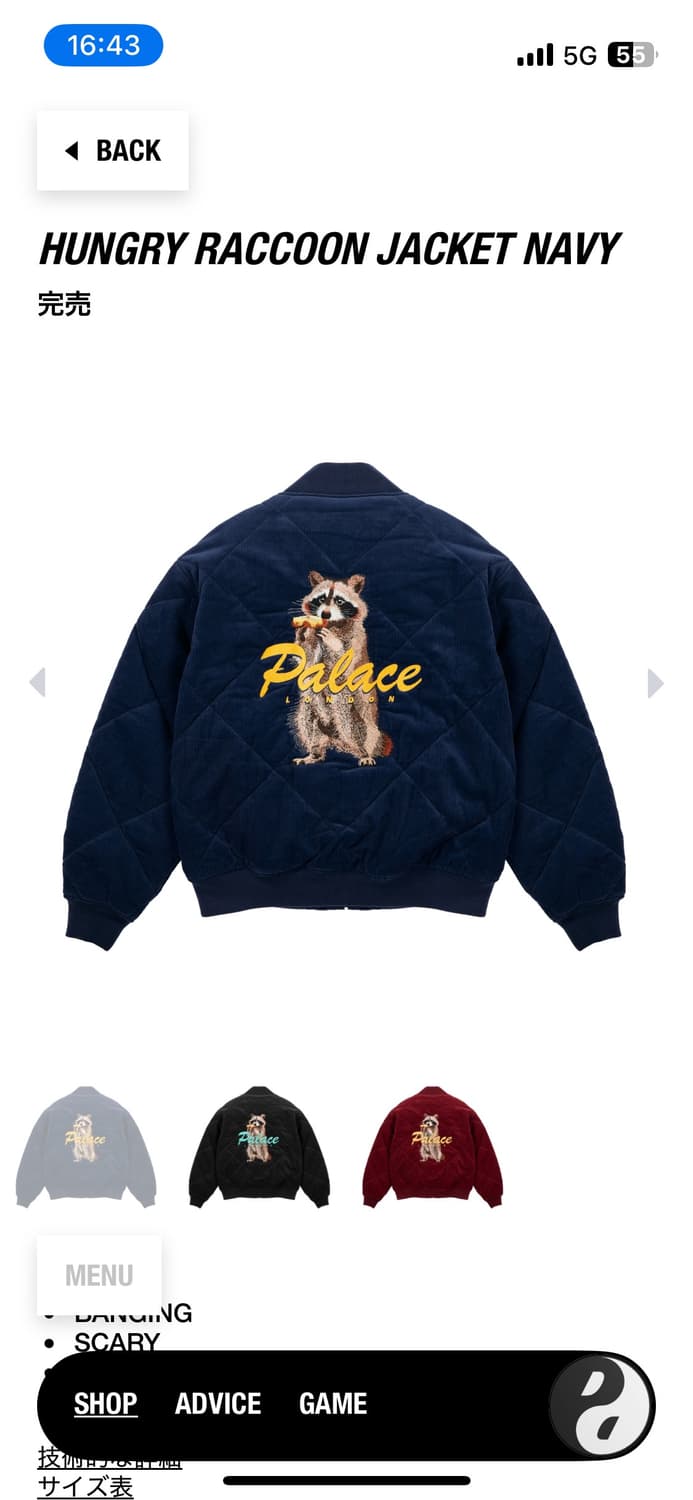 팔라스 라쿤 미디움 새상품 상품이미지1