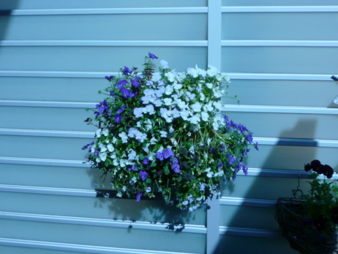 파나소닉 DMC-FS3 연핑크 연보라 빈티지 디카 작례 ⭕️ 헤 상품이미지6