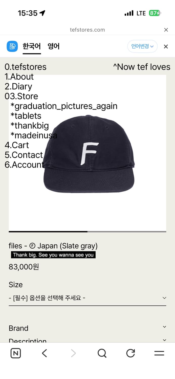 tefstores 볼캡 sage gray L 상품이미지1