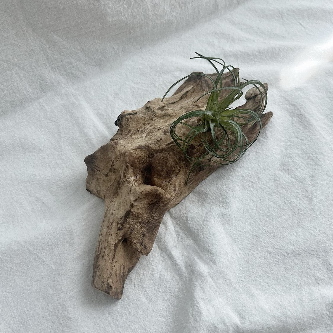 wood object 040 상품이미지2
