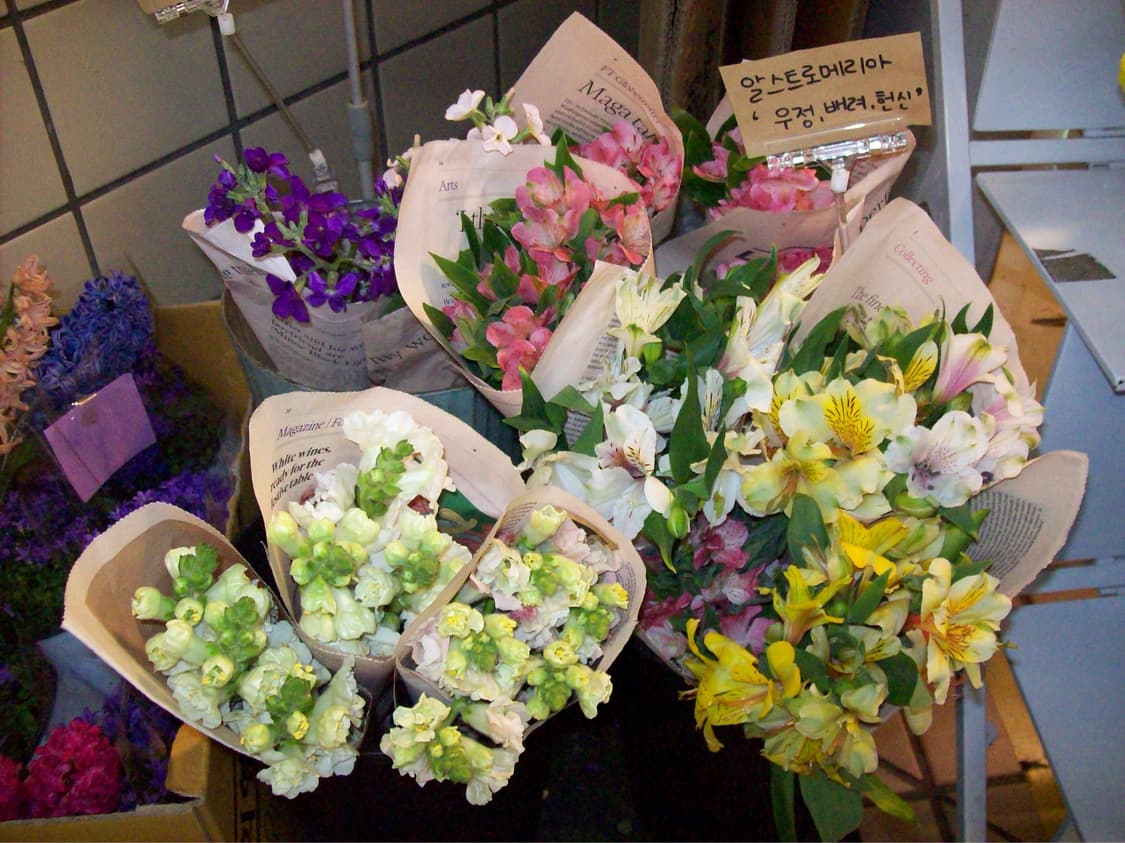 코닥 c613 (작례0) 상품이미지3
