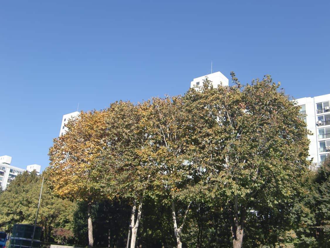 카시오 exilim z400 핑크 (작례o) 상품이미지8