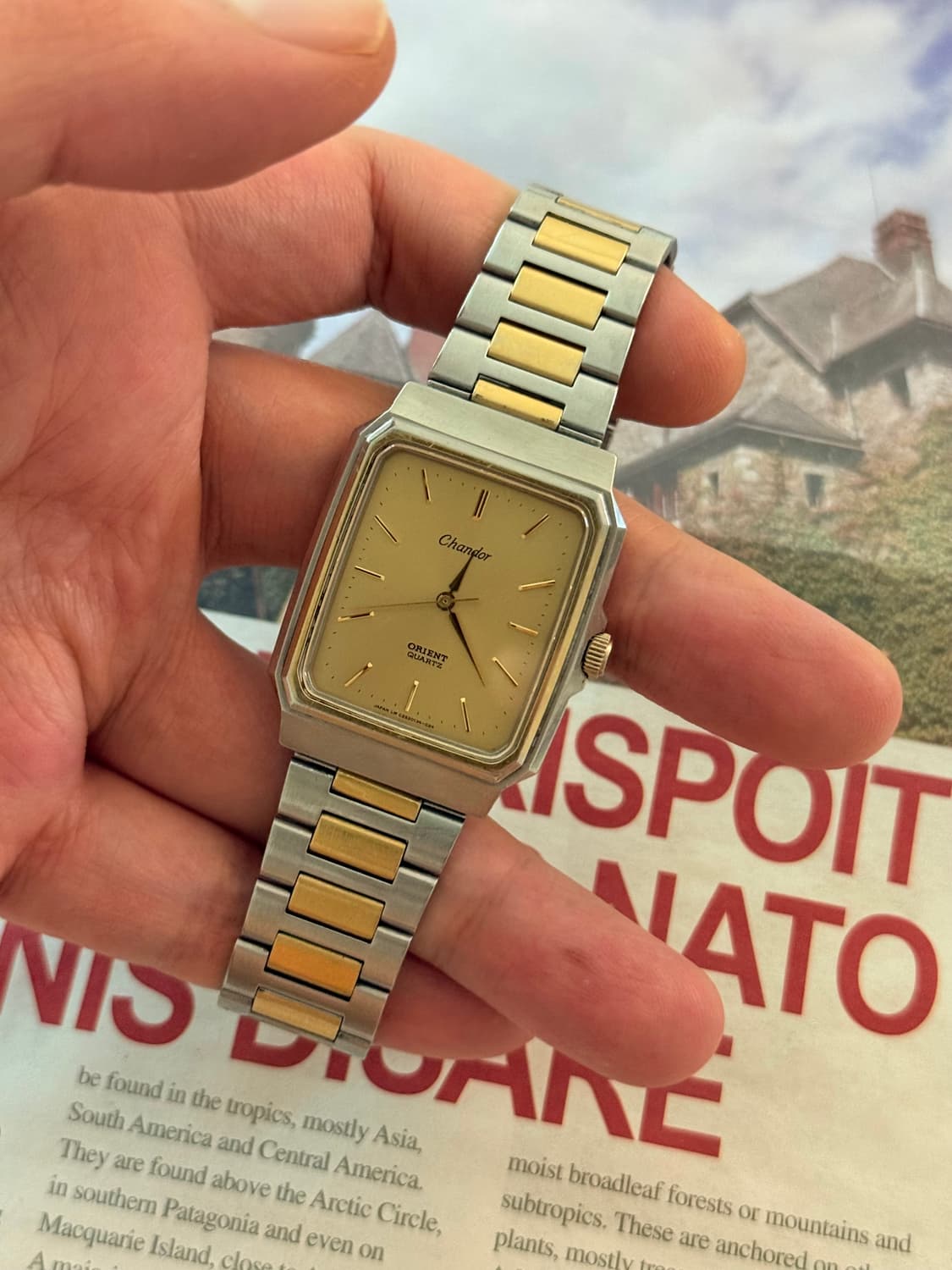 Orient 오리엔트 Chandor 샹도르 스퀘어 콤비 상품이미지3