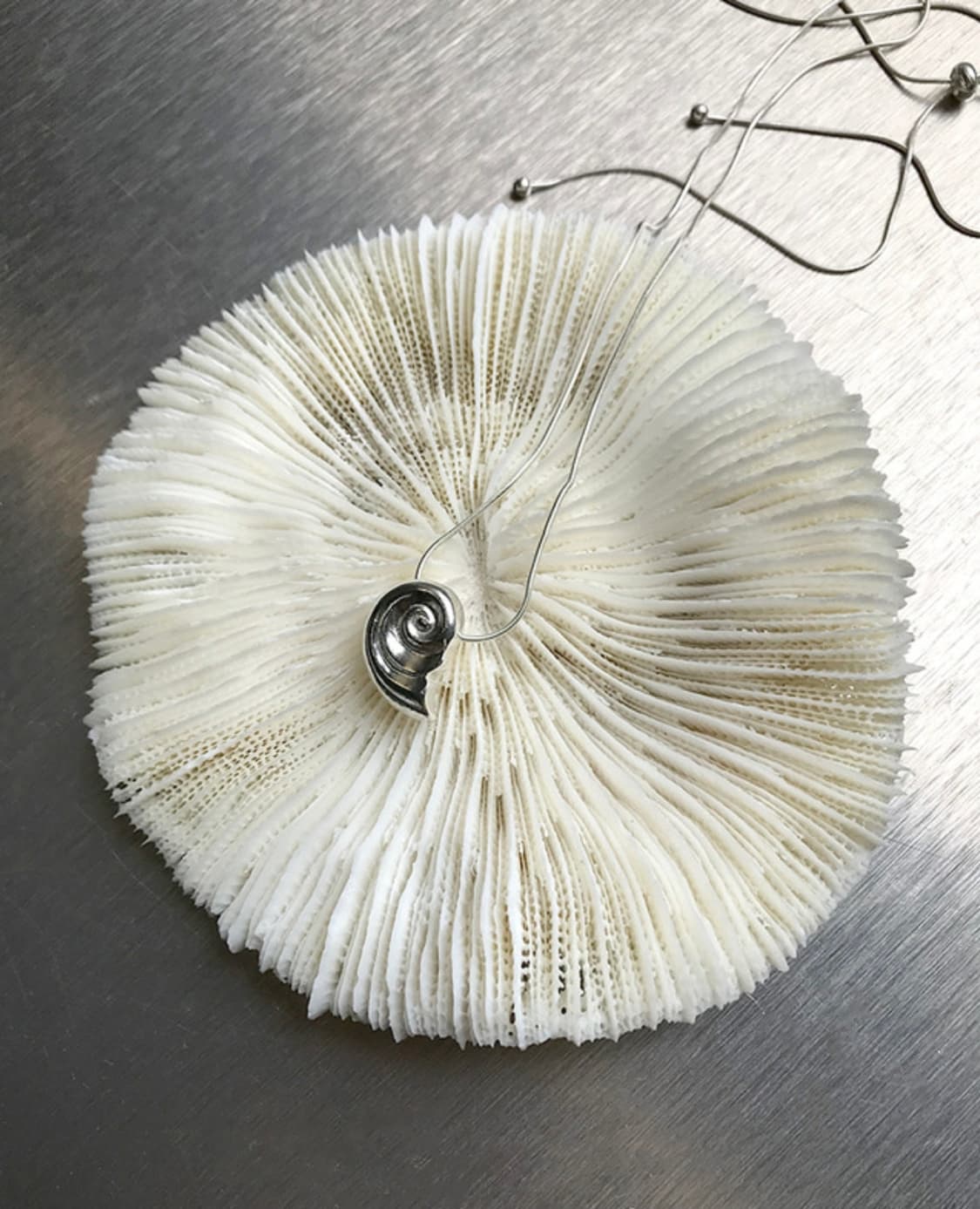 시네스테틱 피시스 shell necklace 02  상품이미지2