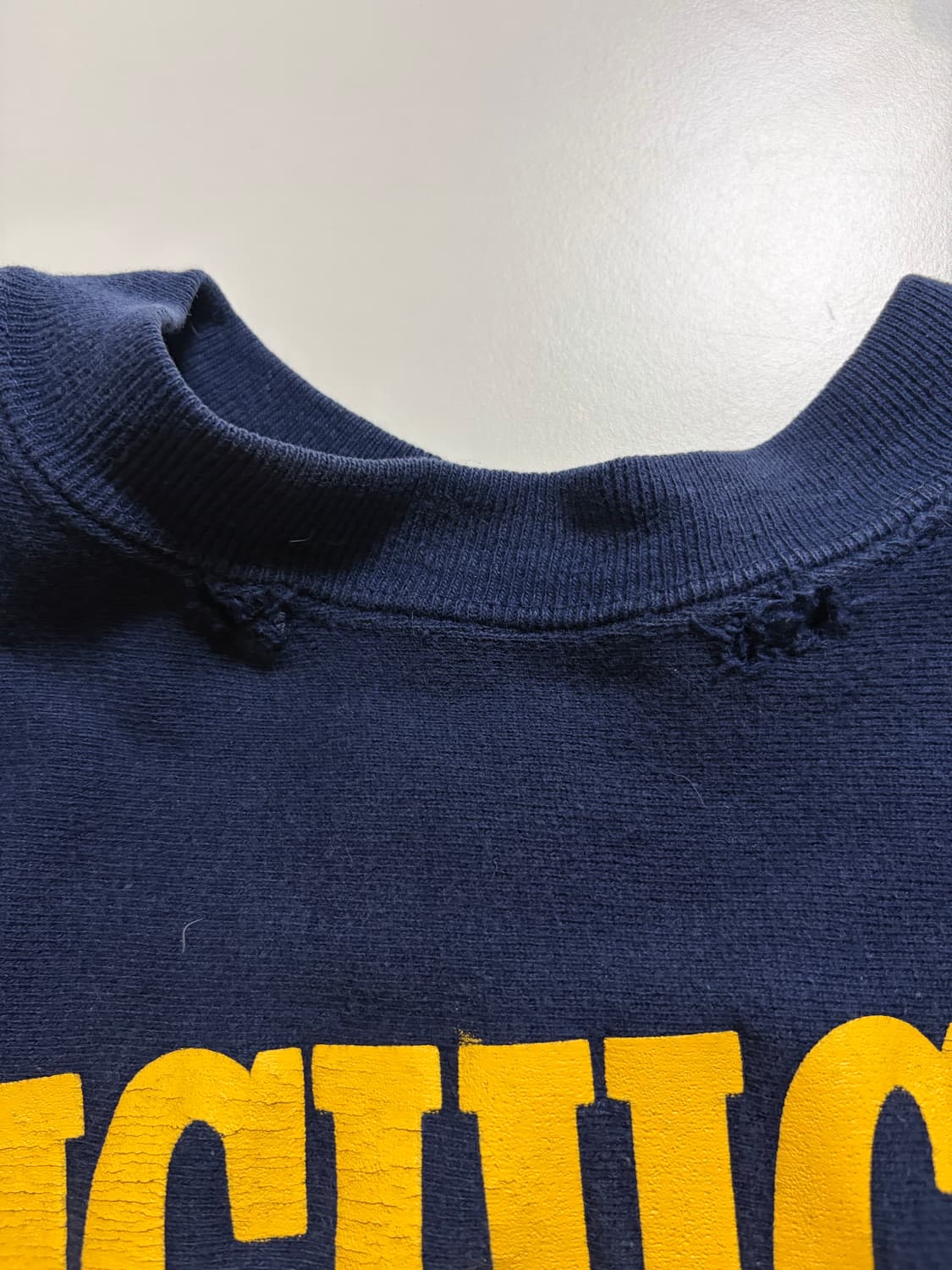 [ L ] 90s 챔피온 리버스위브 크루넥 MICHIGAN 상품이미지4