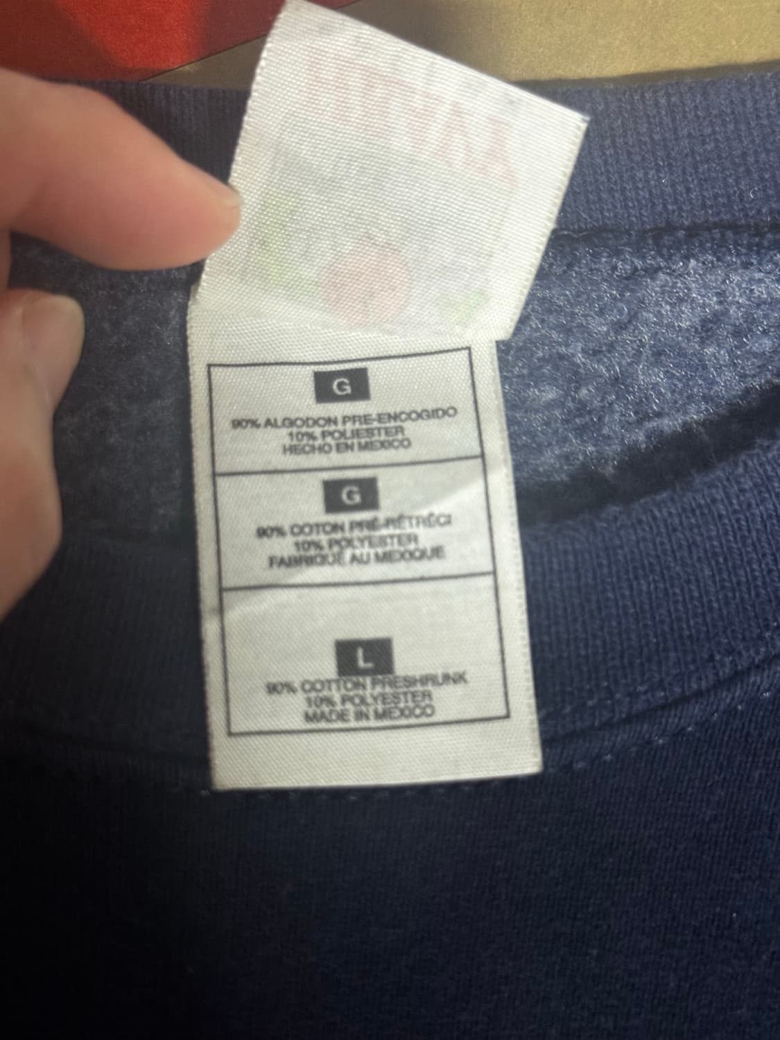 ~00 Fruit of the room sweatshirt 상품이미지6