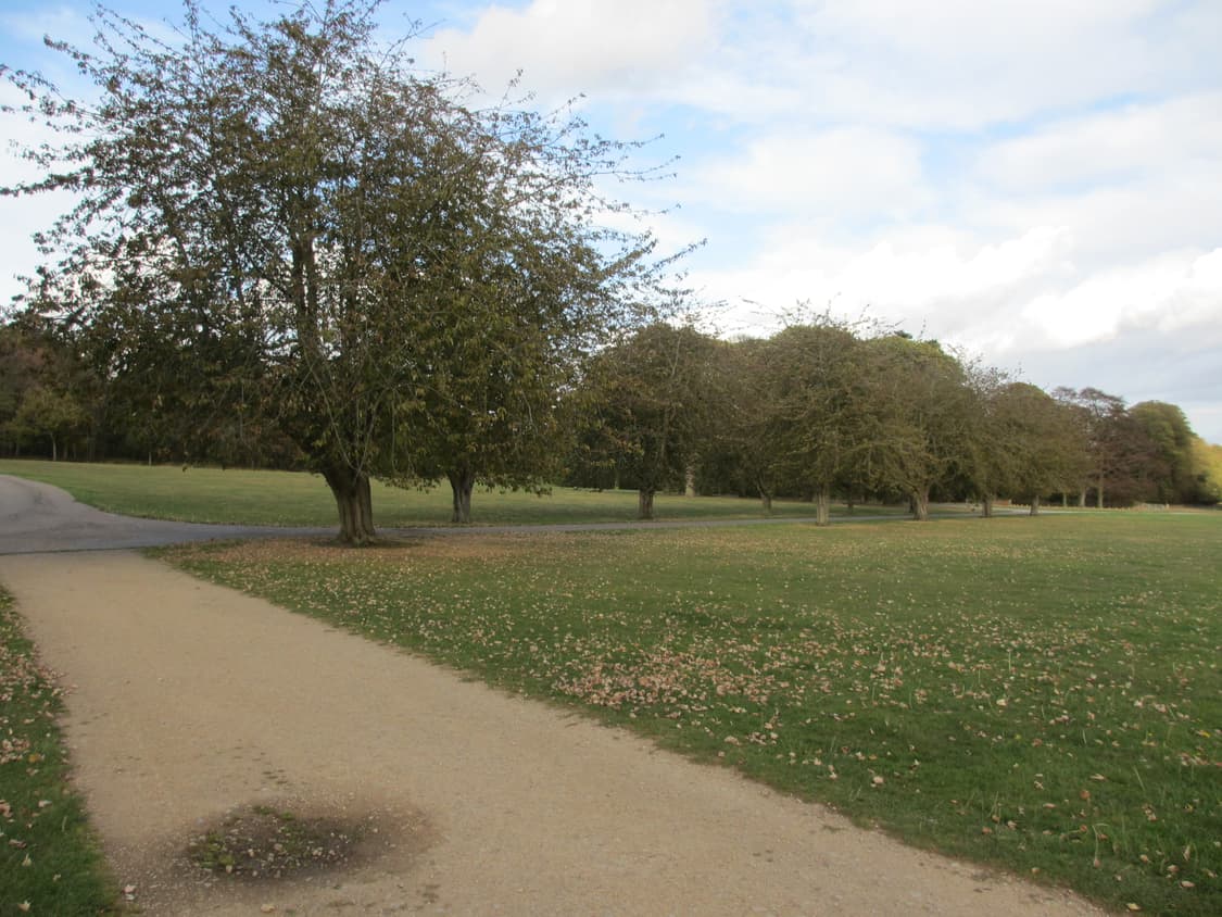 민트✧･ﾟCanon ixus 230hs / ixy 600f 캐논 익서스 상품이미지2