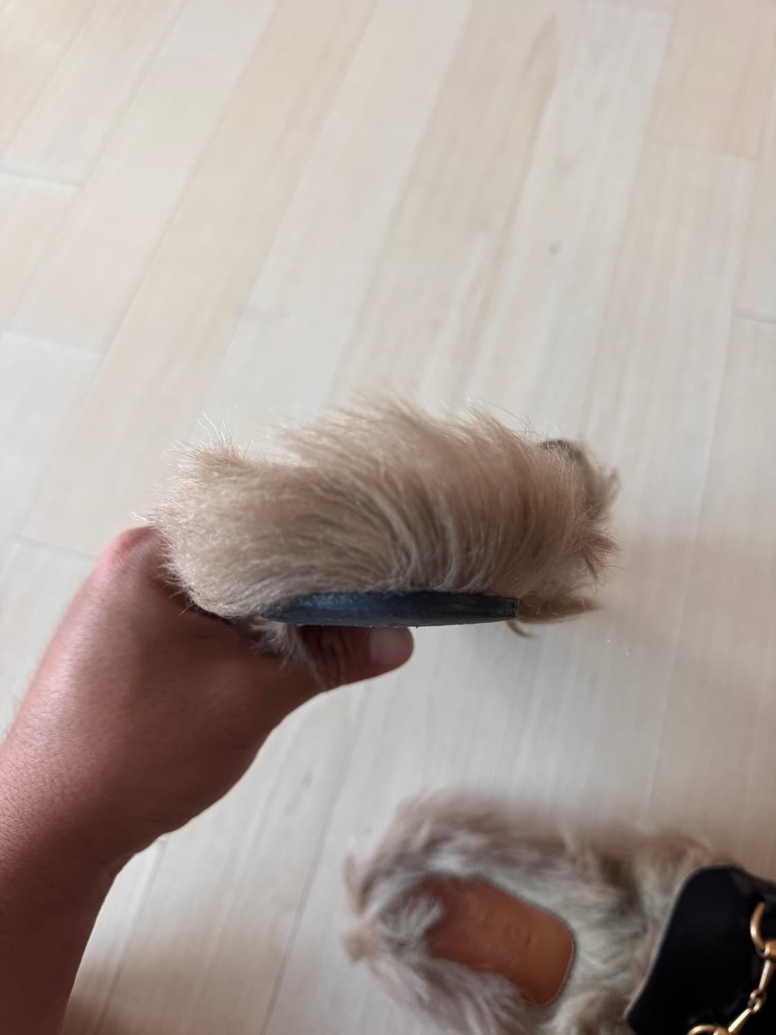 구찌 GUCCI 남성 홀스빗 슬라이드 뮬 270 사이즈 상품이미지7