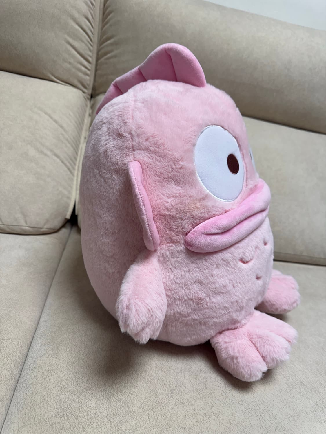 핑크한교동 상품이미지4