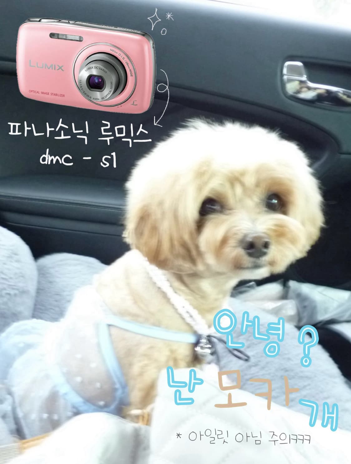 작례있음💖파나소닉 루믹스 핑크 빈티지 디카 ✨LUMIX DMC-s1 상품이미지2