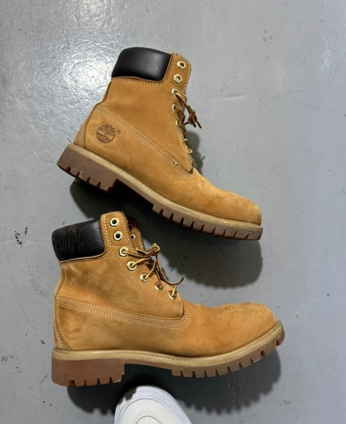 팀버랜드 6인치 245 상품이미지3