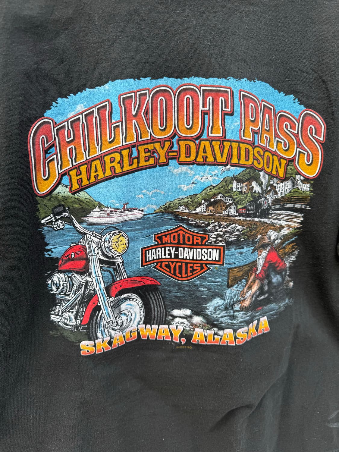 00s 할리데이비슨 빈티지 2004 헤인즈 로고 프린팅 반팔 티셔츠 상품이미지4