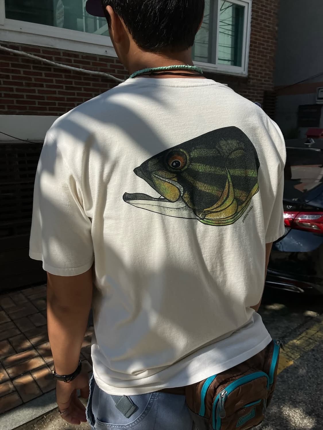 Patagonia fish noggins organic cotton te 상품이미지9