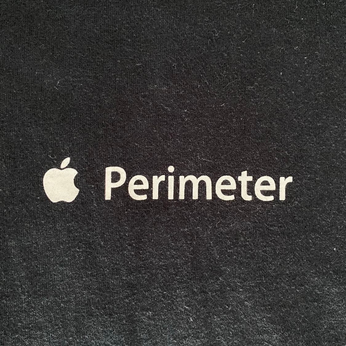 (XL) 00s 빈티지 애플 apple 티셔츠 상품이미지3