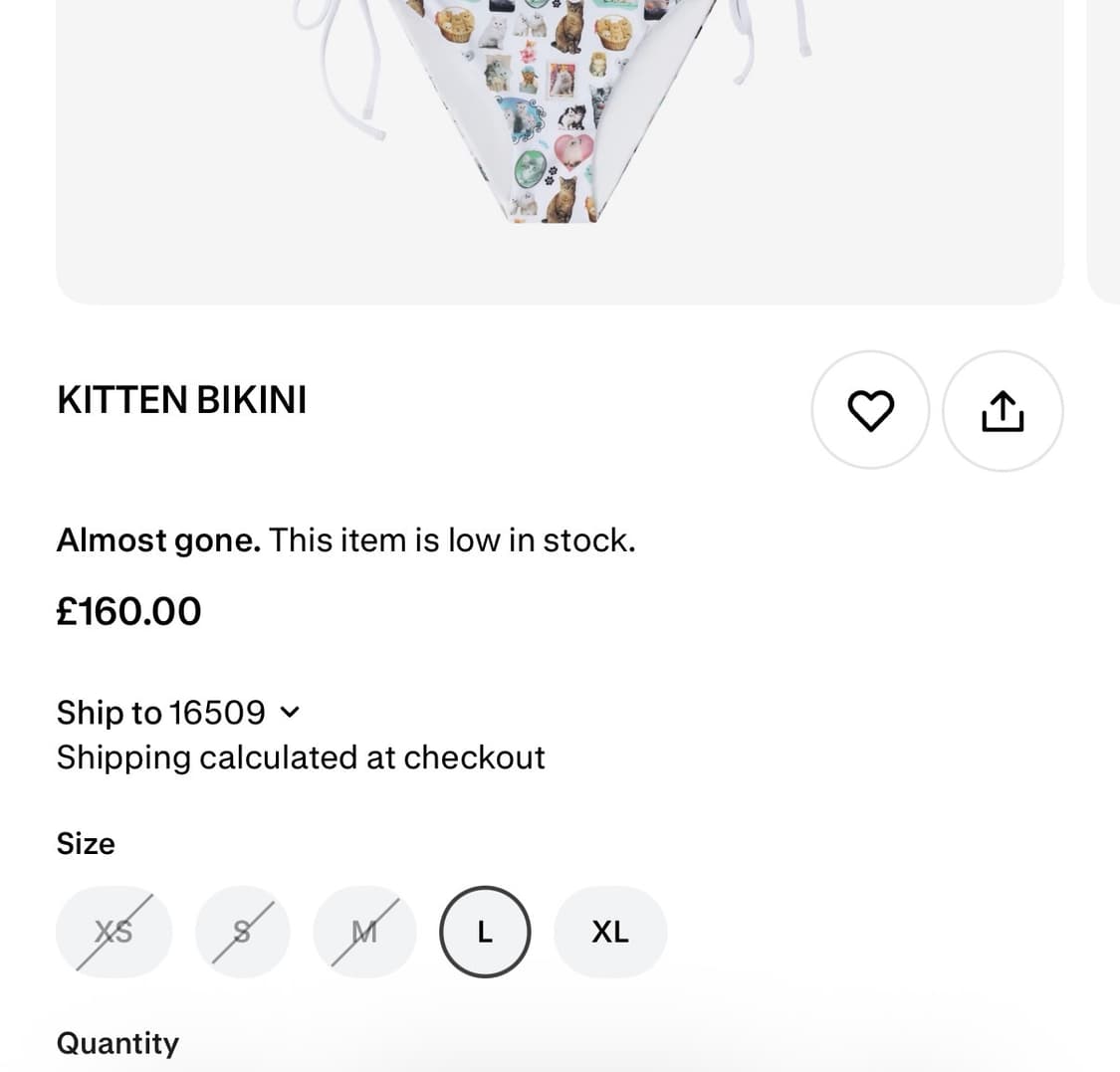 애슐리윌리엄스 비키니 상품이미지2