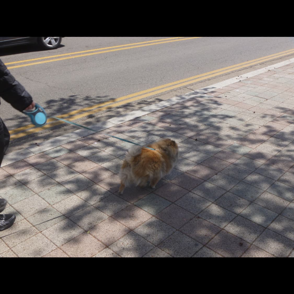 작례⭕️ 파나소닉 루믹스 DMC-FP7 상품이미지10