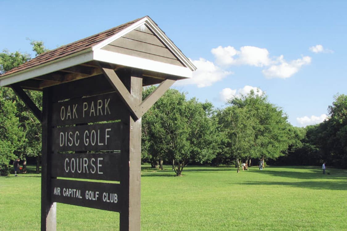 Canon Powershot A810 (캐논 파워샷 A810) 상품이미지10