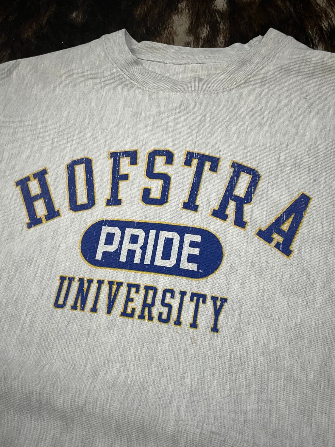 CHAMPION REVERS WEAVE SWEAT SHIRT 상품이미지4