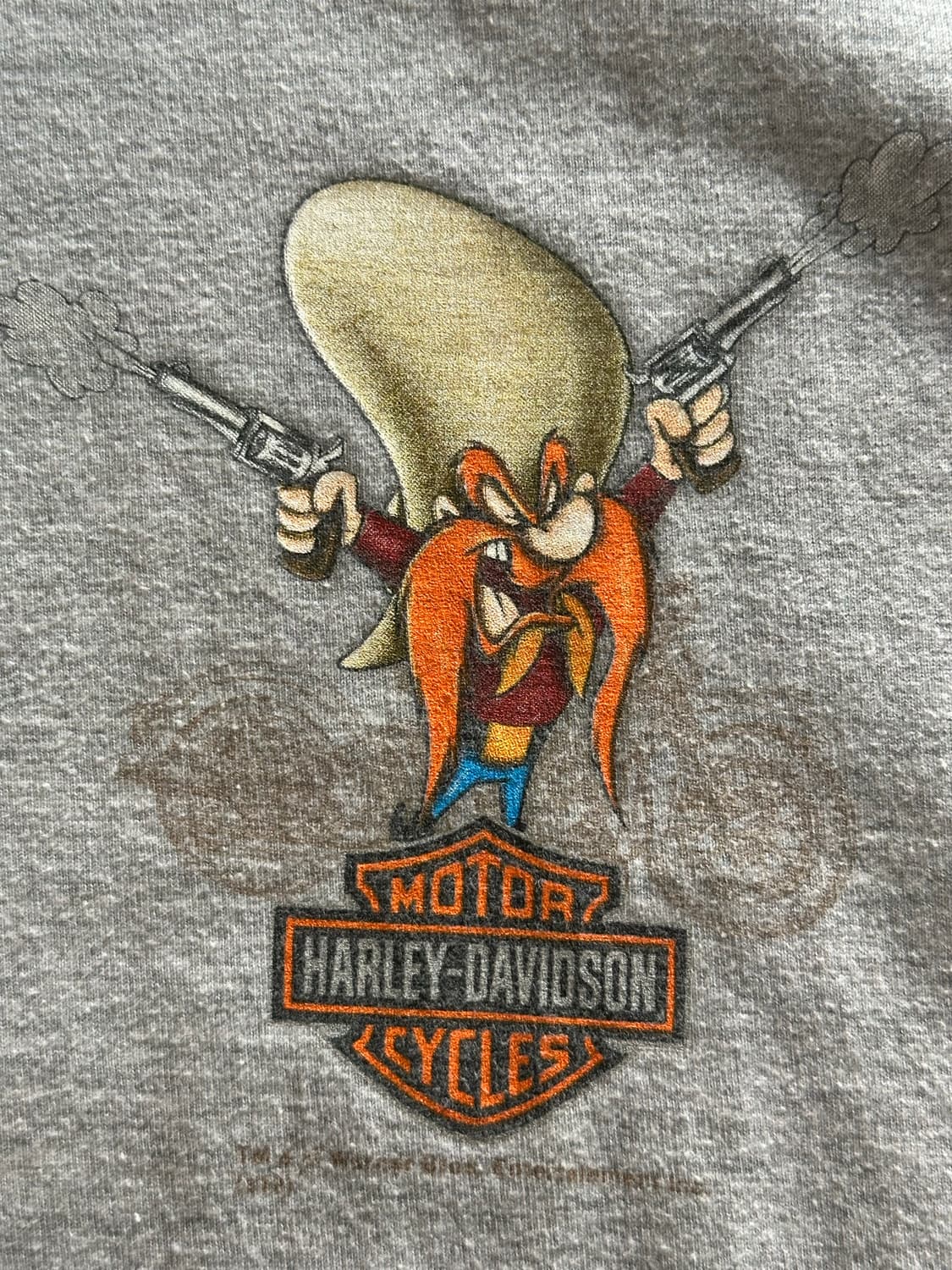 할리데이비슨 x 루니툰즈 '요세미티 샘 & 버팔로' - 2XL 상품이미지3