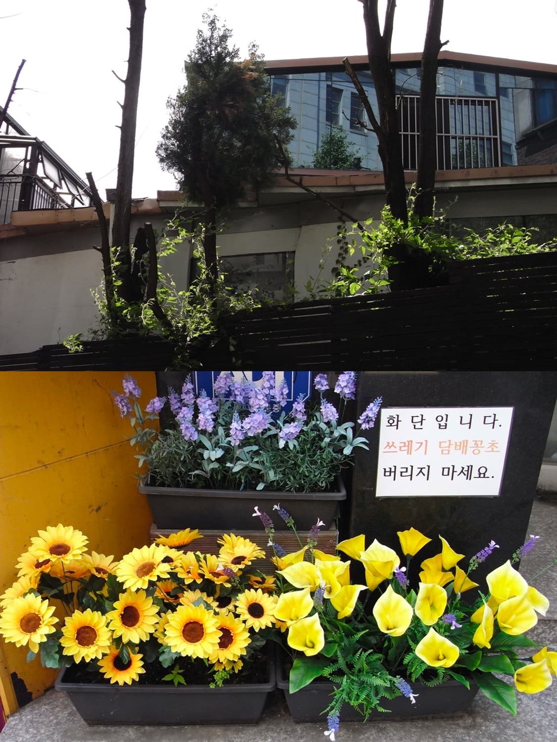🎩리코 R8 블랙🎩 빈티지 디카 상품이미지6