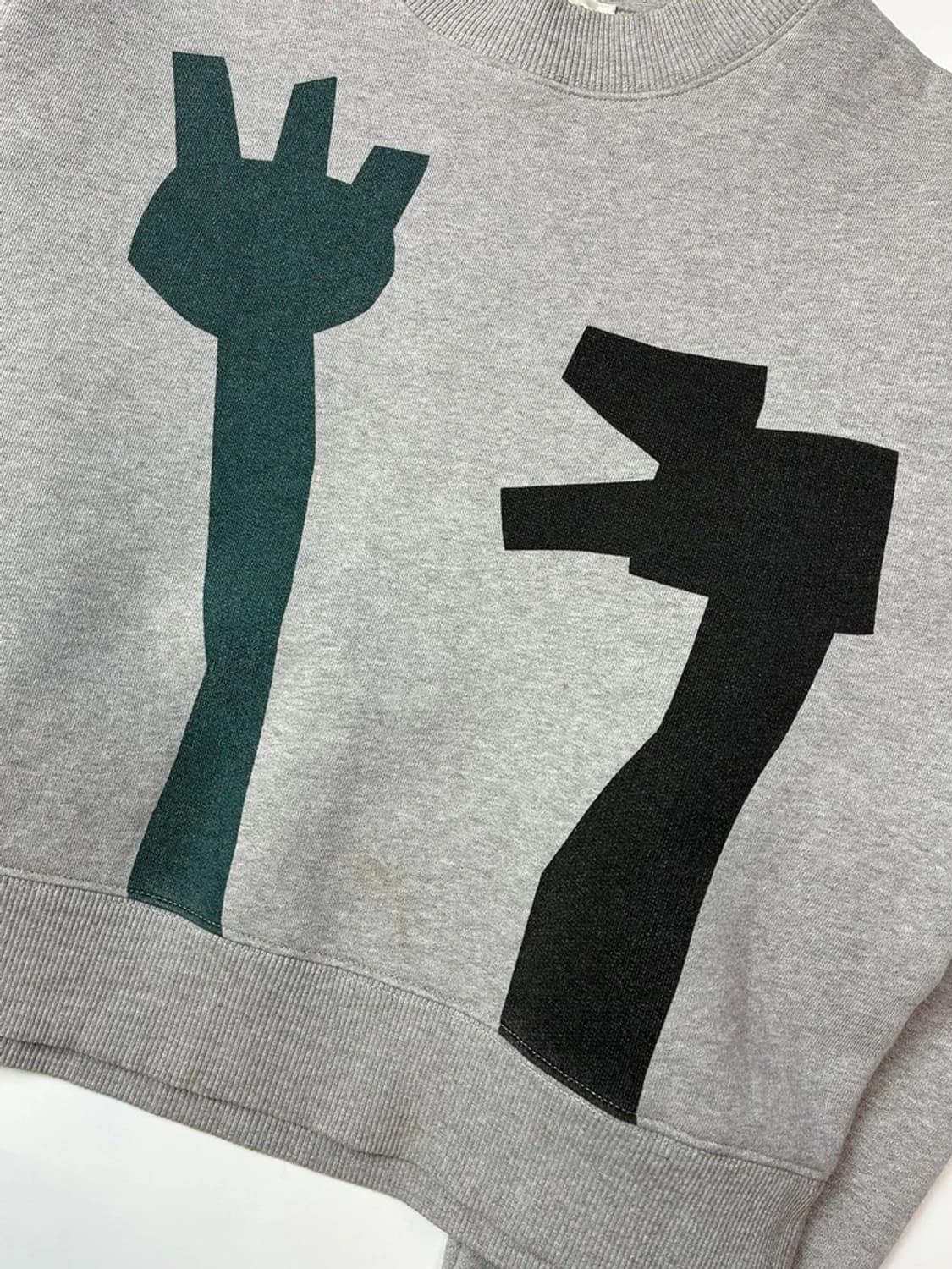 아크네스튜디오 버드 플라워 그래픽 크롭 맨투맨 PN5328 상품이미지3