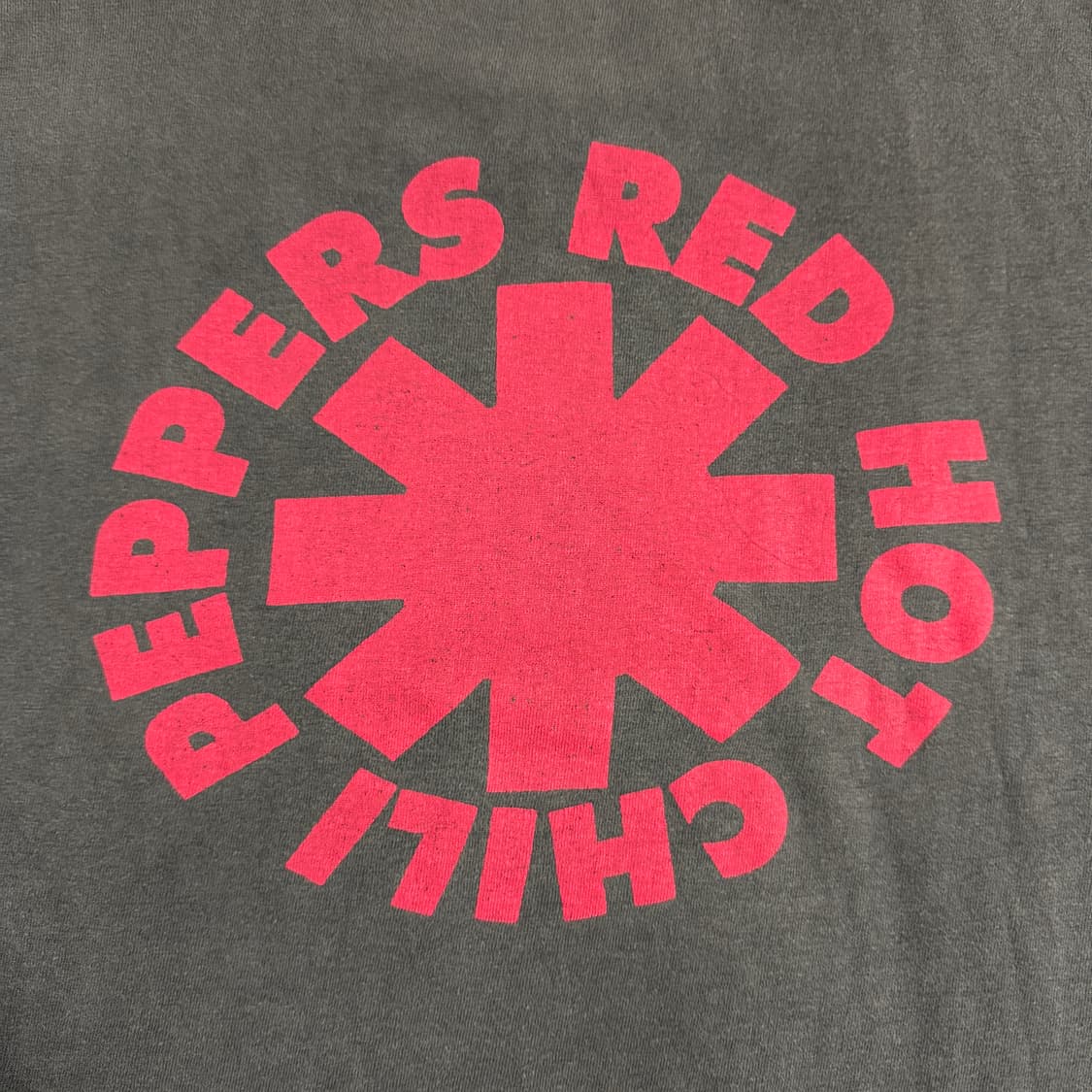 빈티지 90s 레드핫칠리페퍼스 티셔츠 RHCP Evolution Tee 상품이미지7