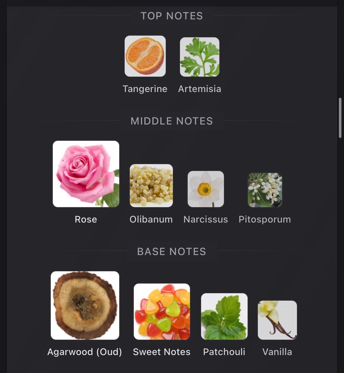 [국문택 풀박스] 밀러해리스 스케르초 100ml 상품이미지5