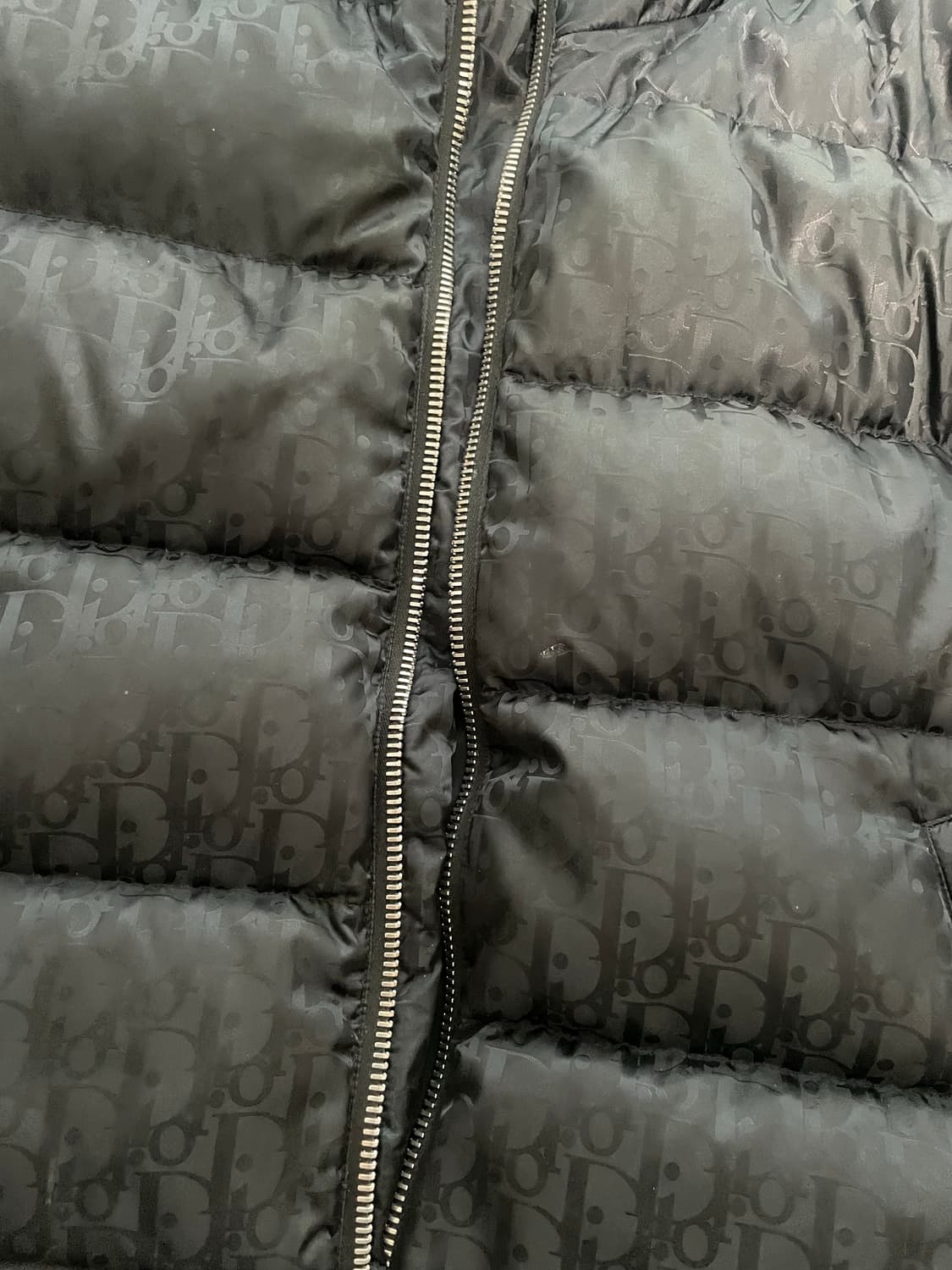 디올 오블리크 패딩 블랙 상품이미지4