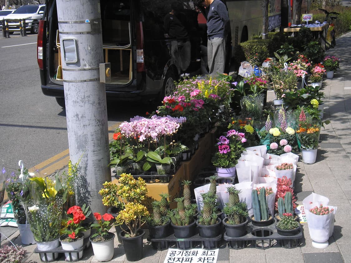 올림푸스ir-300 (작례있음) 상품이미지6