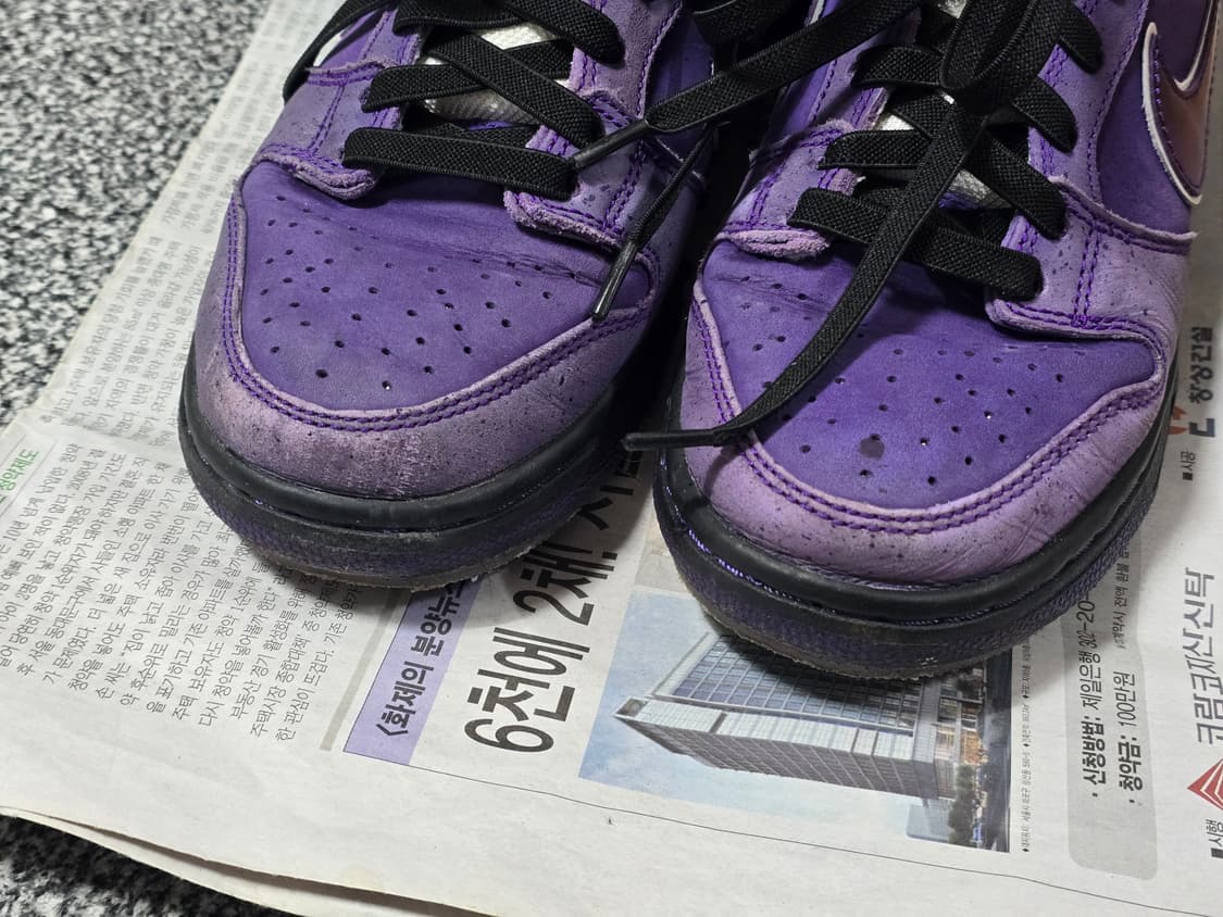 [250] 나이키 SB 덩크 로우 컨셉트 퍼플 랍스터 레귤러 박스 상품이미지6