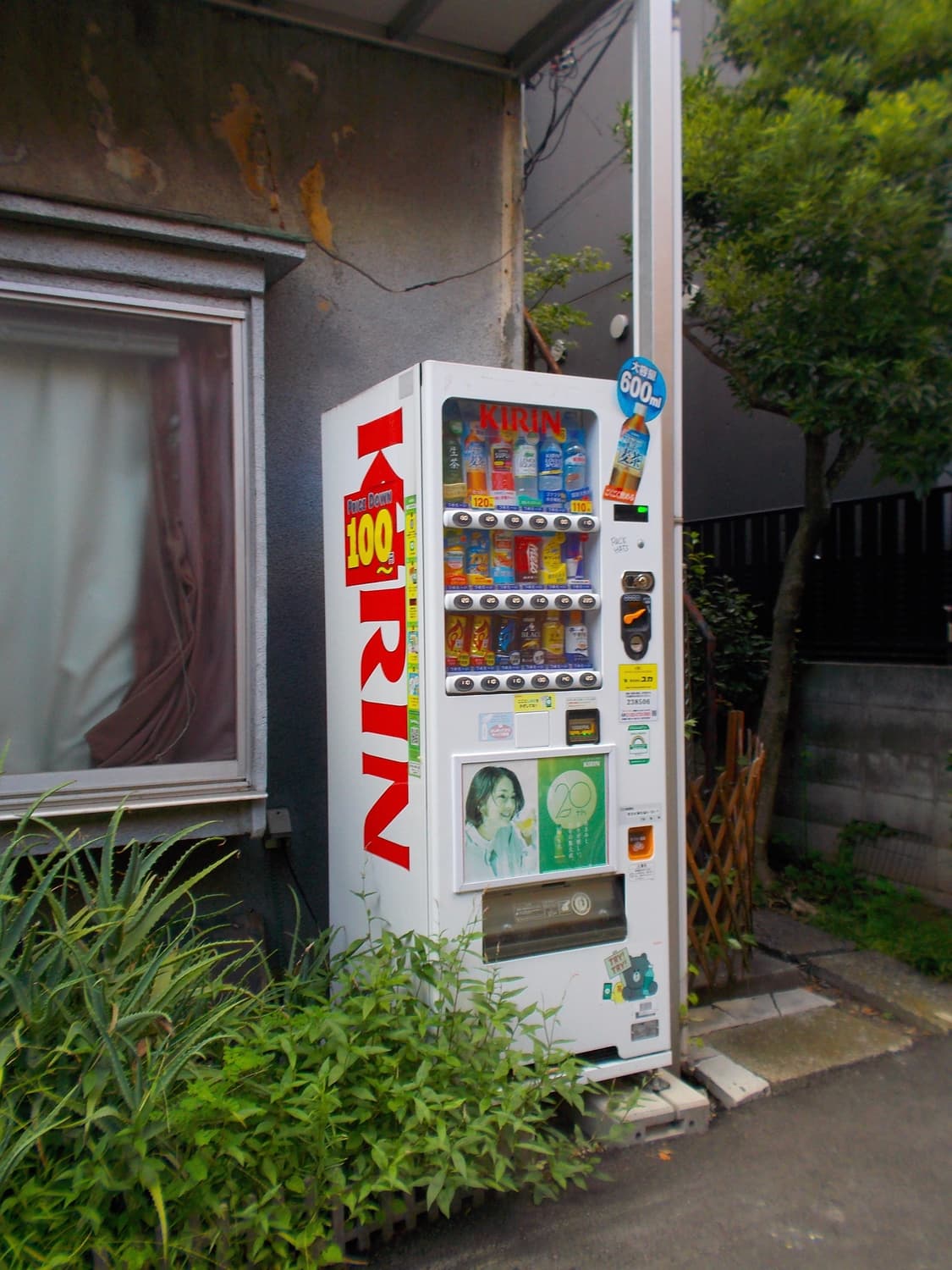 [희소템]니콘 Coolpix 쿨픽스 S30 Pink 빈티지디카  상품이미지6