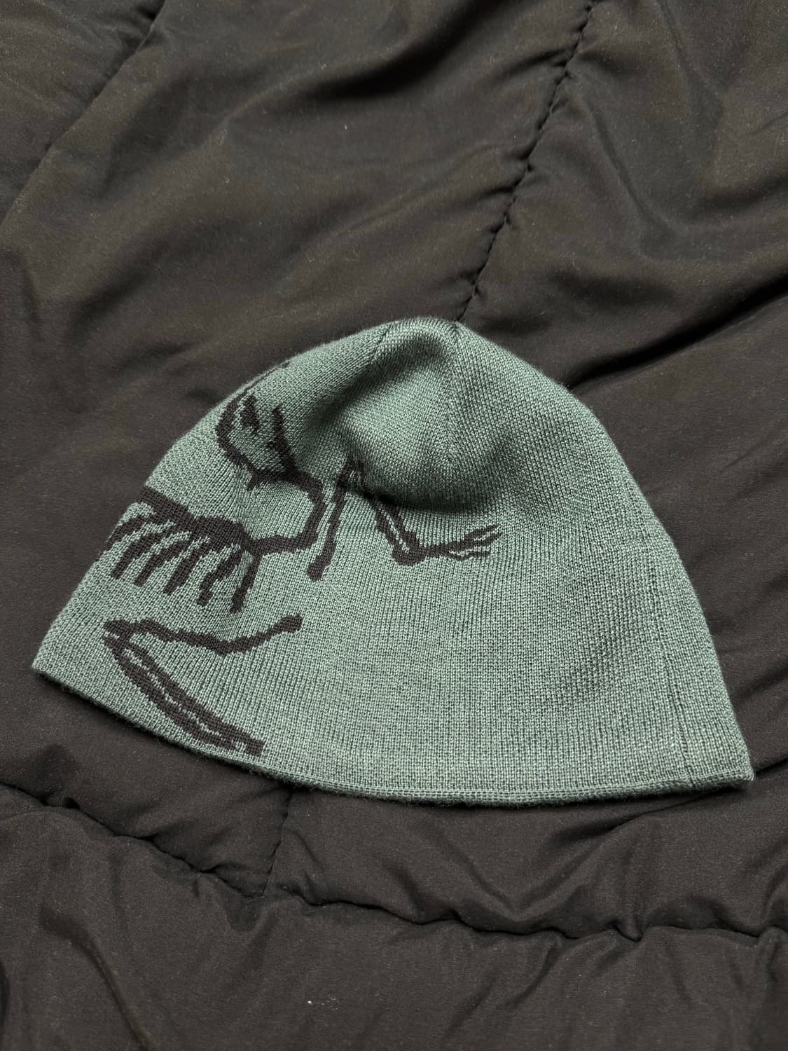 아크테릭스 버드 헤드 토크 다크 매직 상품이미지2