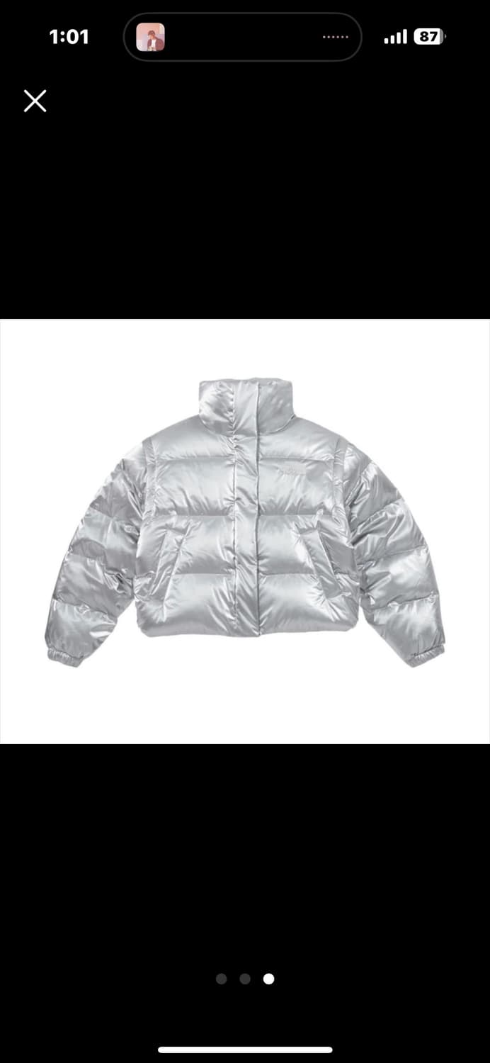 노스페이스 글로시 실버 패딩 상품이미지4