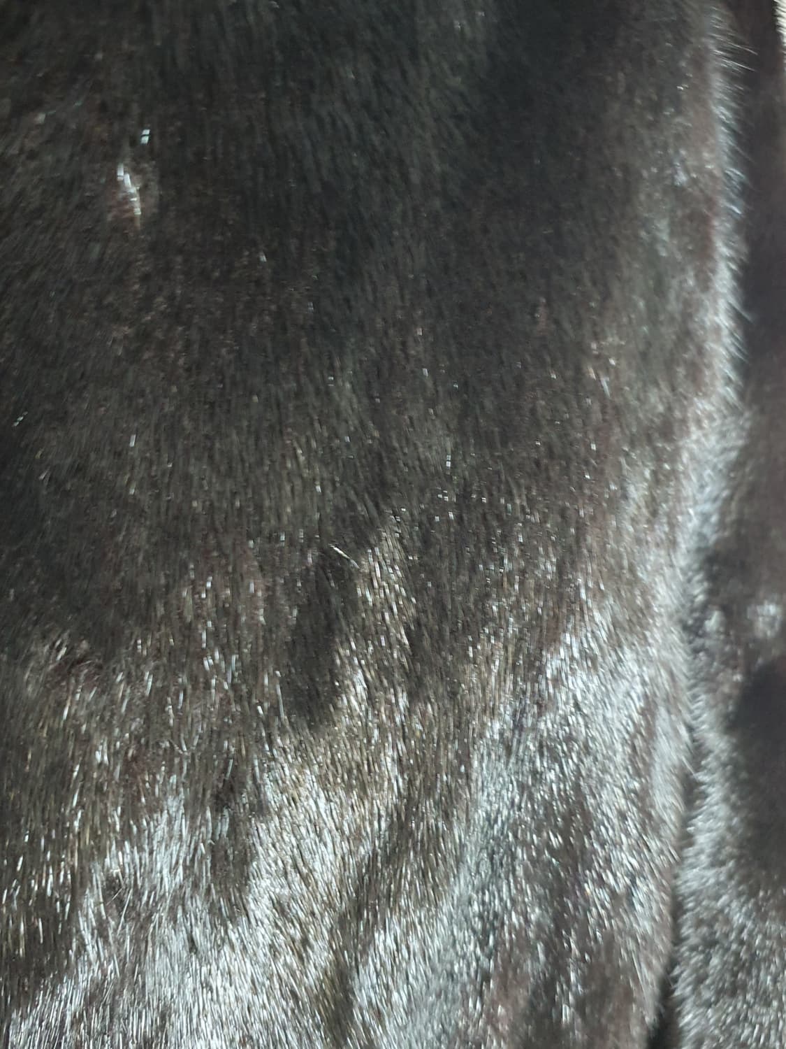 [빈티지] 블랙 밍크 숏 코트 상품이미지2