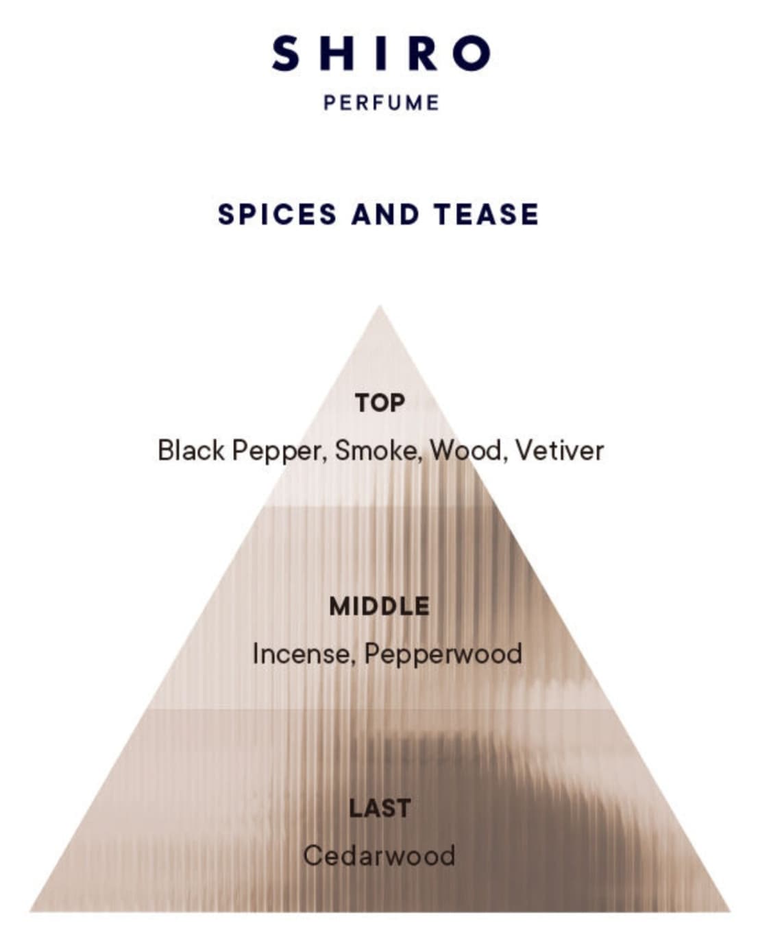 SHIRO 시로 스파이스앤티즈 상품이미지3