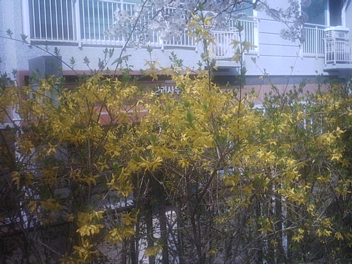 HITACHI HDC-1 디지털카메라(작례o) 상품이미지6