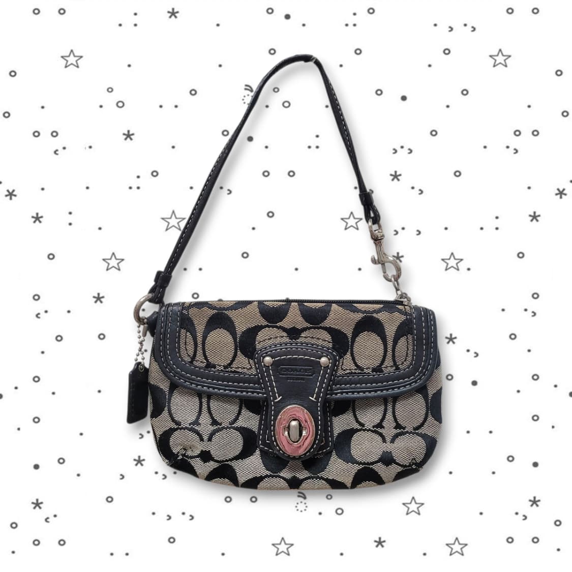 COACH 코치 시그니처 미니 파우치 디카 파우치 상품이미지1