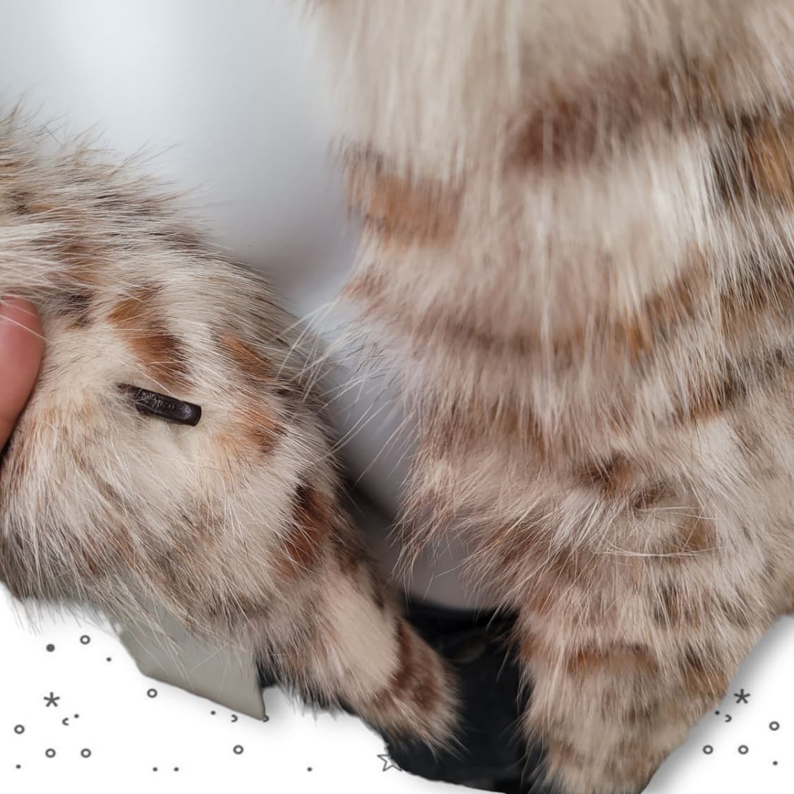 Danu 천연 모피 여우털 호피 갸루 퍼 코트 상품이미지8